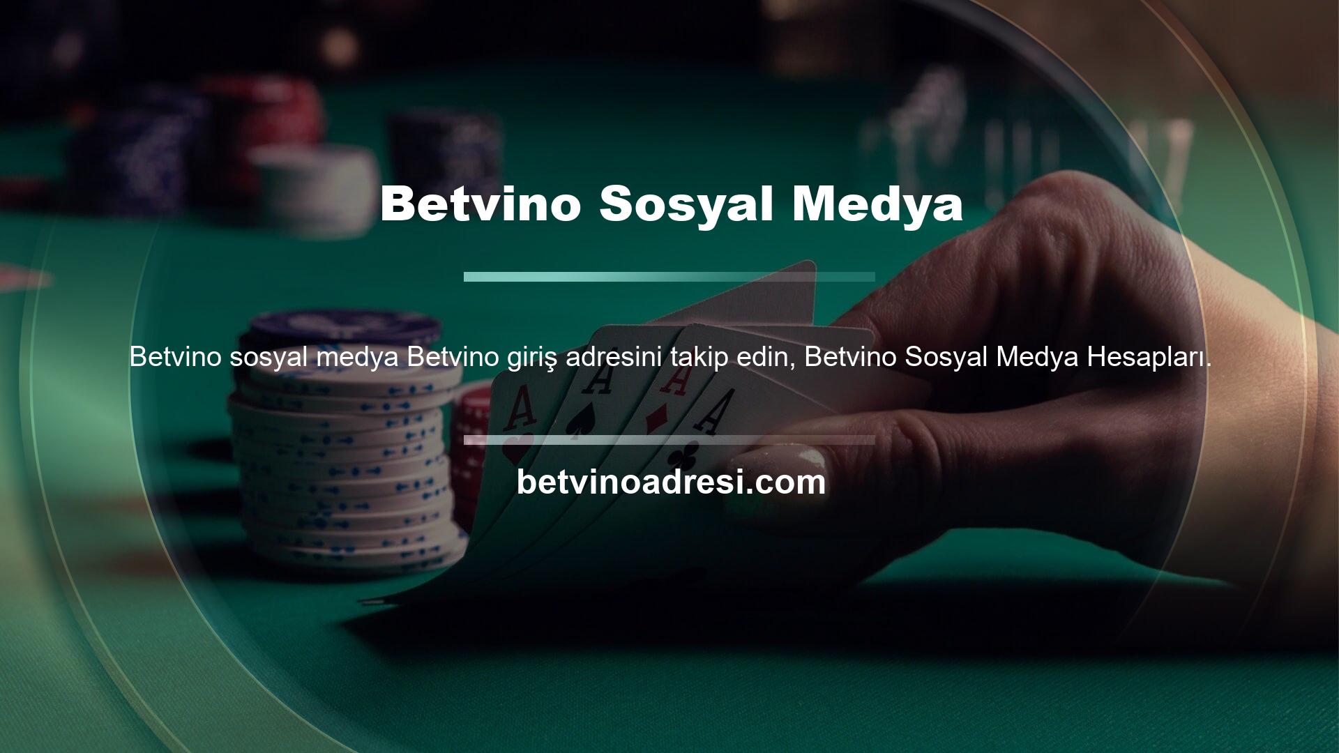 Betvino Giriş Adresi Bot
